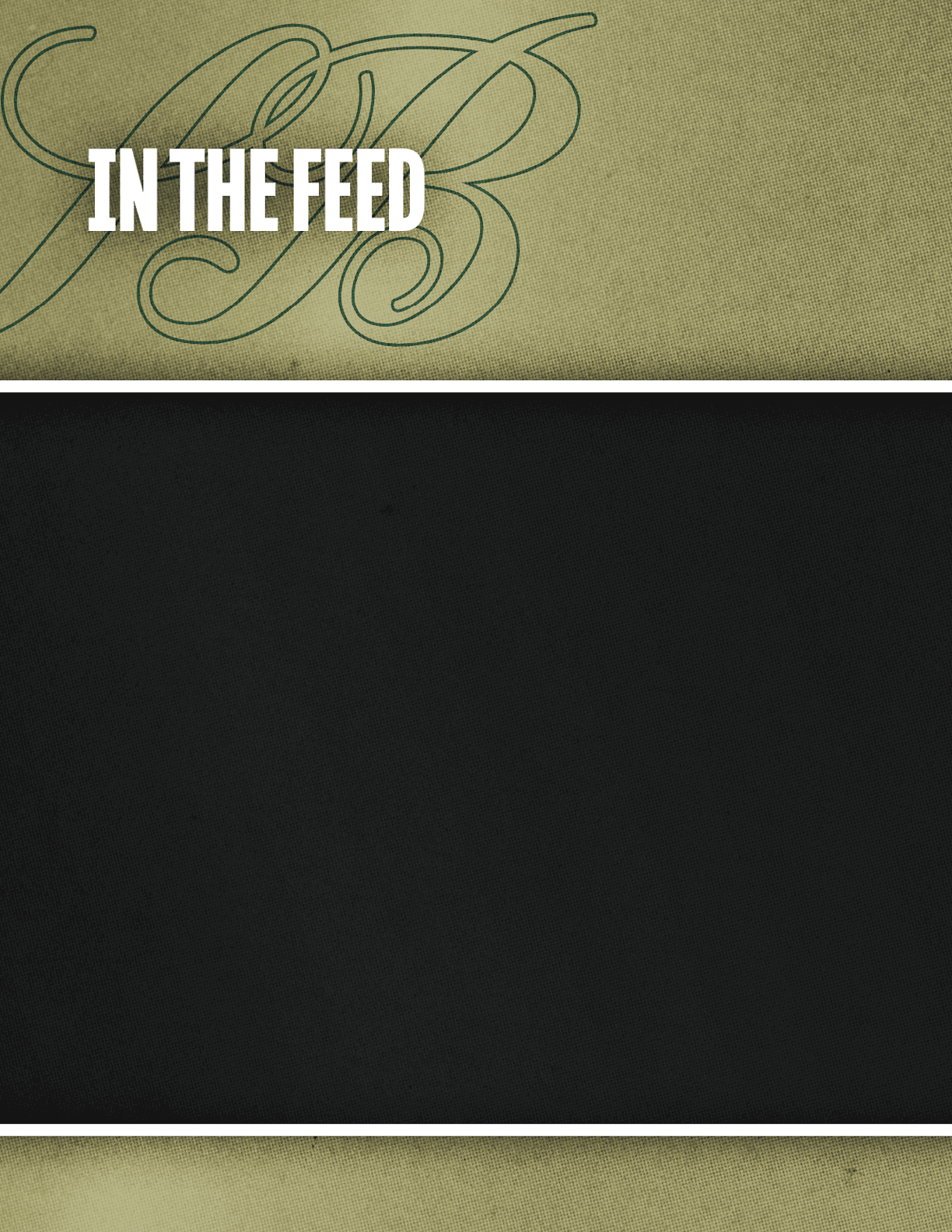 A textured olive green background with elegant cursive initials and bold white text reading “IN THE FEED" above a solid black rectangular area. Description generated by AI