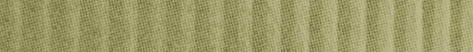 A close-up of a textured fabric with vertical stripes in shades of green and beige. Description generated by AI