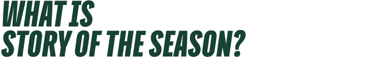 What is Story of the Season?