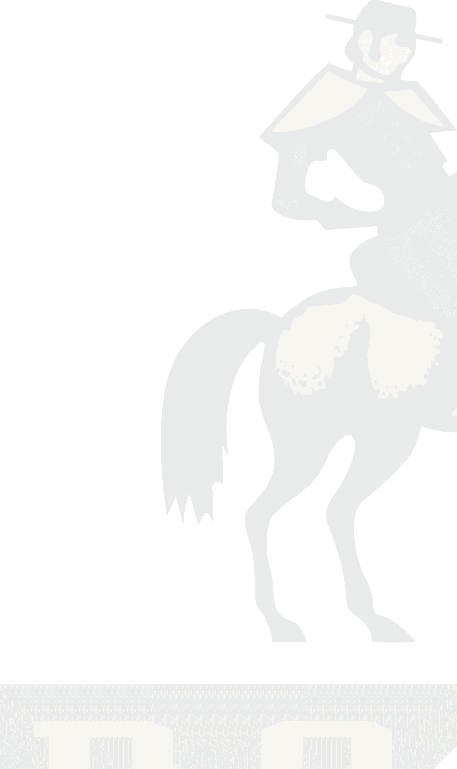 A logo for Dons football. Description generated by AI