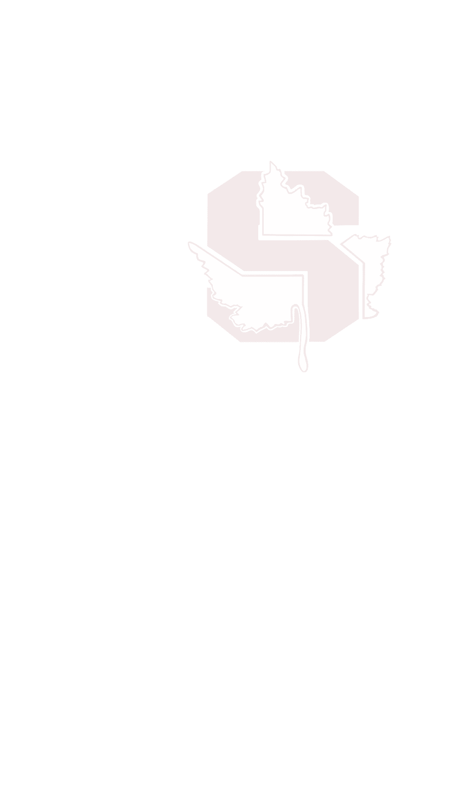 A logo for Dons football. Description generated by AI