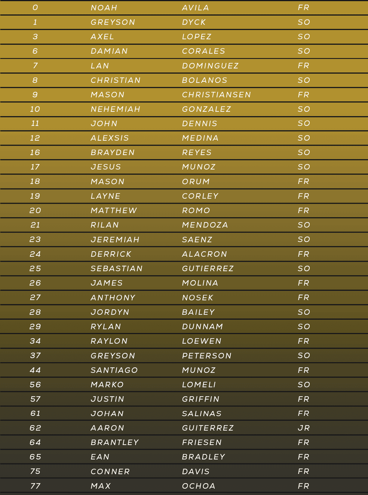 A list of names in two columns with first names on the left and last names on the right, displayed in white italicized text on a gold background. Description generated by AI