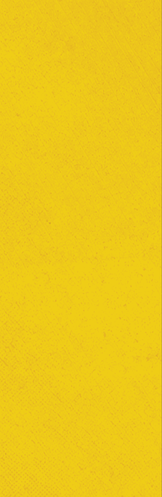 A red background with a white stripe. Description generated by AI