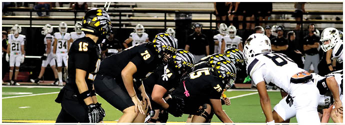 A group of football players on a field. Description generated by AI