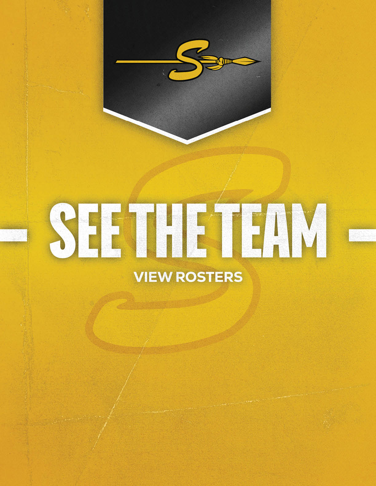 A yellow and black graphic with a stylized “S" and paintbrush logo above bold white text that says "SEE THE TEAM" and smaller text below that reads "VIEW ROSTERS." Description generated by AI