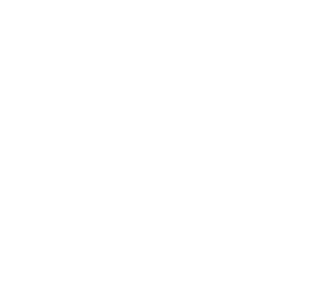 CARLOS LARA 