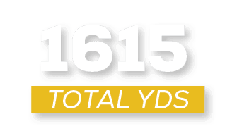 total YDS,161
