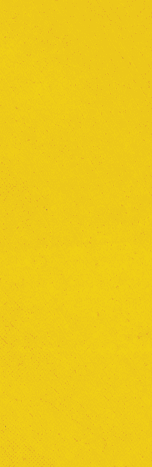 A red background with a white stripe. Description generated by AI
