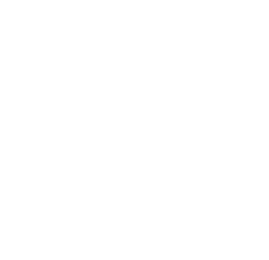 colter guzman 