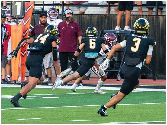 A football player is sliding on the ground. Description generated by AI