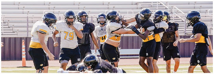 A football player wearing a blue and white uniform. Description generated by AI