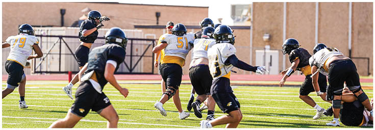 A football player wearing a blue and white uniform. Description generated by AI