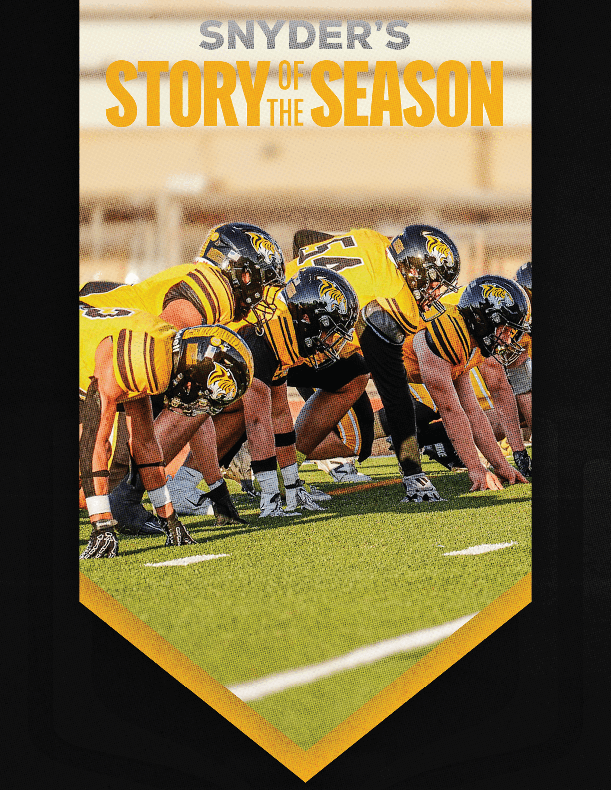 A group of people in yellow and black football uniforms are lined up in a ready stance on a green field with the text Snyder's Story of the Season above them. Description generated by AI