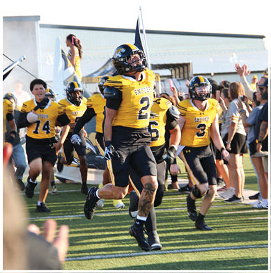 People in yellow and black football uniforms run onto a field with a crowd cheering in the background. Description generated by AI