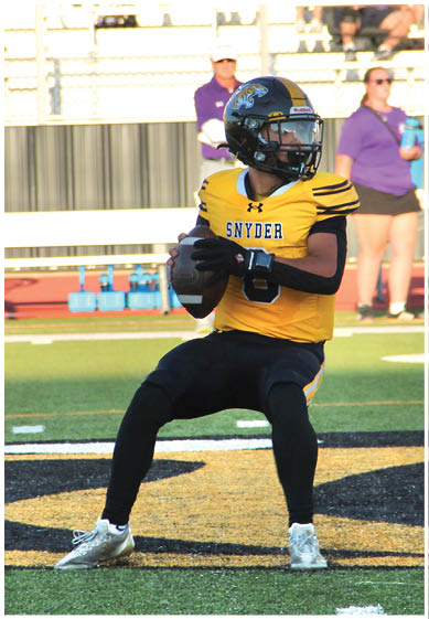 A person wearing a yellow sports jersey and black pants is holding a football on a grassy field. Description generated by AI
