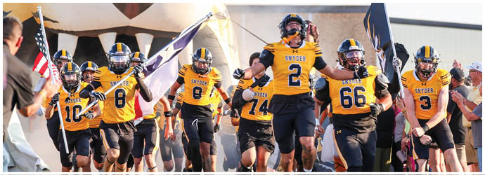 A group of people wearing yellow and black football uniforms run energetically onto a field, with one person holding a flag and others raising their arms in excitement. Description generated by AI