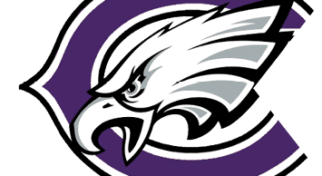 A stylized eagle head with sharp features is integrated into a large purple letter C with a bold black outline. Description generated by AI