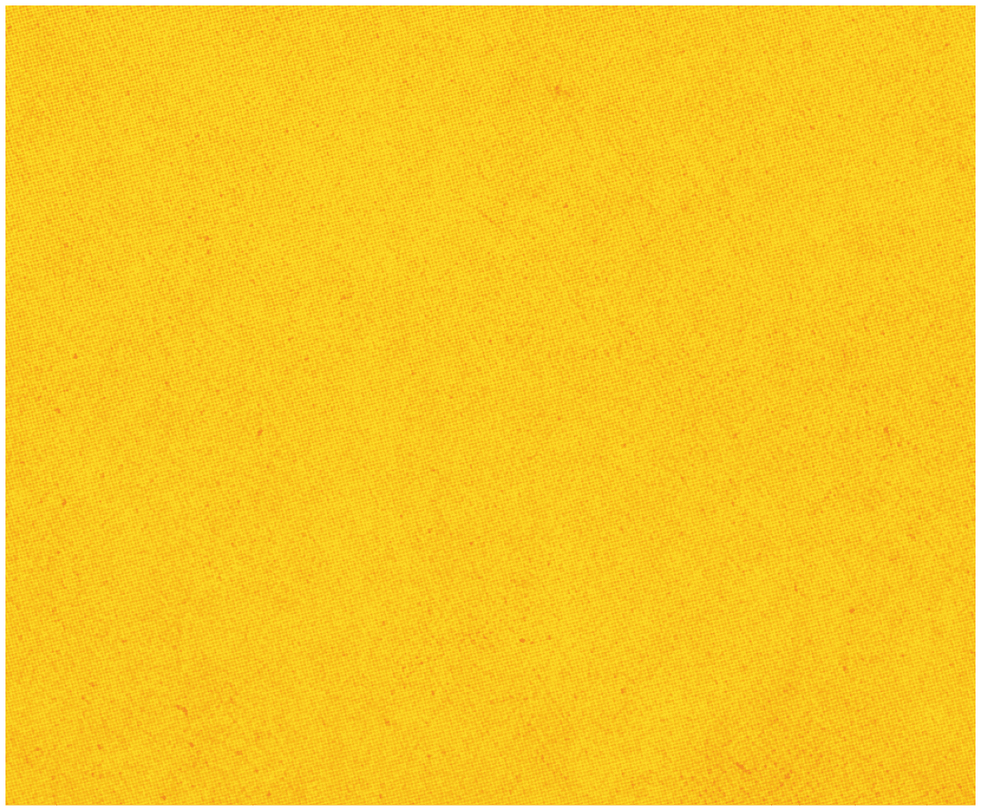 A red and blue striped cloth. Description generated by AI