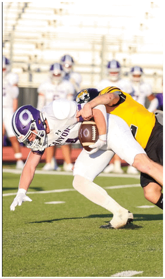 Two people in football uniforms are engaged in a play on a grassy field with blurred spectators and officials in the background. Description generated by AI