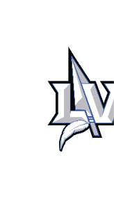 A blue and white logo for Valor. Description generated by AI