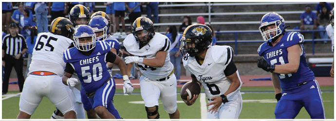 A group of people wearing yellow and black football uniforms run energetically onto a field, with one person holding a flag and others raising their arms in excitement. Description generated by AI