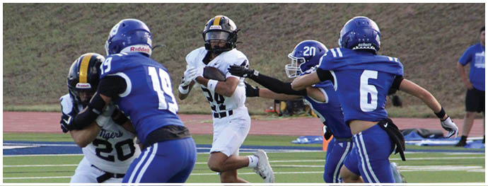 A line of people in yellow and black football uniforms stand side by side on a field with a crowd seated in bleachers behind them. Description generated by AI