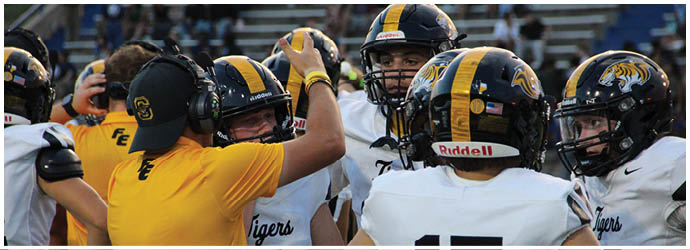 A group of people wearing yellow and black football uniforms run energetically onto a field, with one person holding a flag and others raising their arms in excitement. Description generated by AI