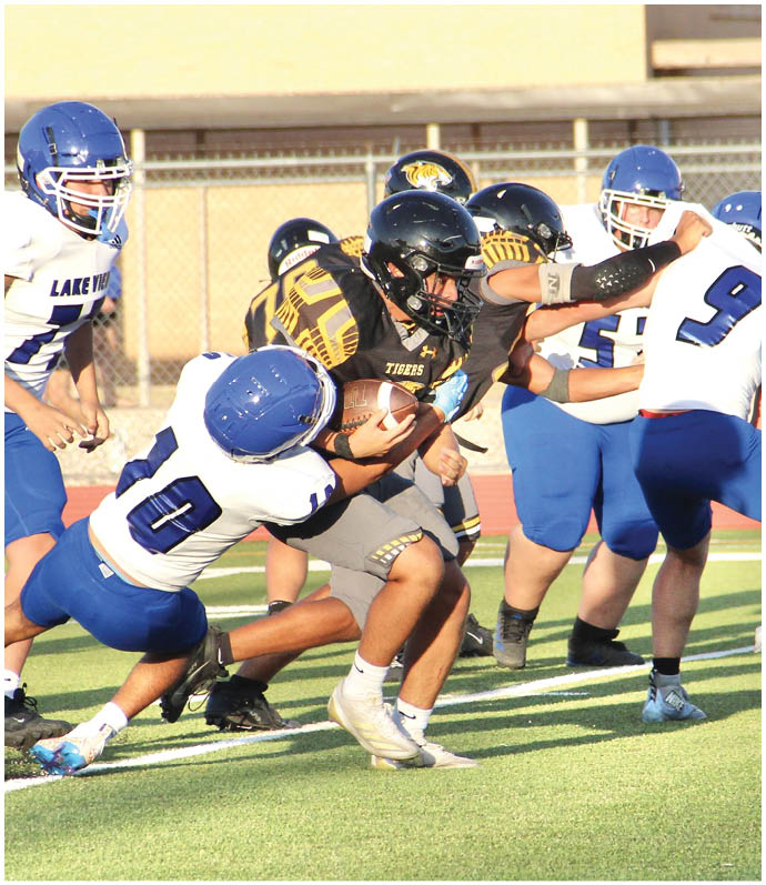 Two people in yellow and black football uniforms are playing against opponents in white and purple uniforms on a football field with spectators in the background. Description generated by AI