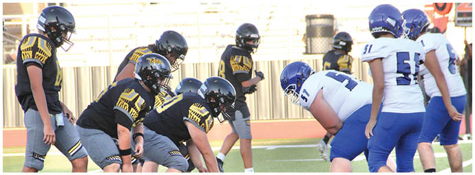 A line of people in yellow and black football uniforms stand side by side on a field with a crowd seated in bleachers behind them. Description generated by AI