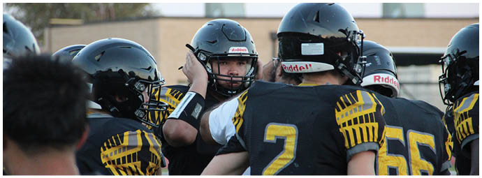 People in matching dark shirts play brass instruments in front of a group of people in sparkly dark outfits holding gold pom-poms on bleachers. Description generated by AI
