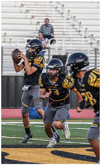 Two people in football uniforms are engaged in a play on a grassy field with blurred spectators and officials in the background. Description generated by AI