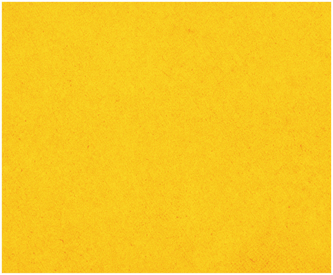 A red and blue striped cloth. Description generated by AI