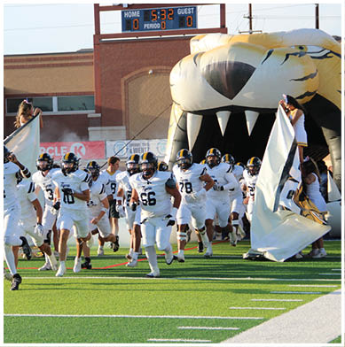 A group of football players in white uniforms with black and yellow helmets are running onto a field through a large inflatable tiger head while holding flags. Description generated by AI