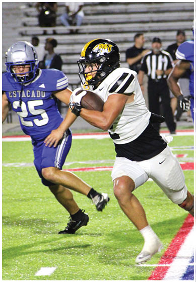 A person in a white and black football uniform with a tiger logo on the helmet is running with the ball while another person in a blue uniform attempts to catch up on a football field. Description generated by AI