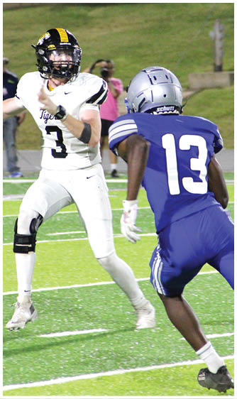 A person in a white football uniform with the number 3 is preparing to throw a football while another person in a blue football uniform with the number 13 is approaching on a grassy field. Description generated by AI