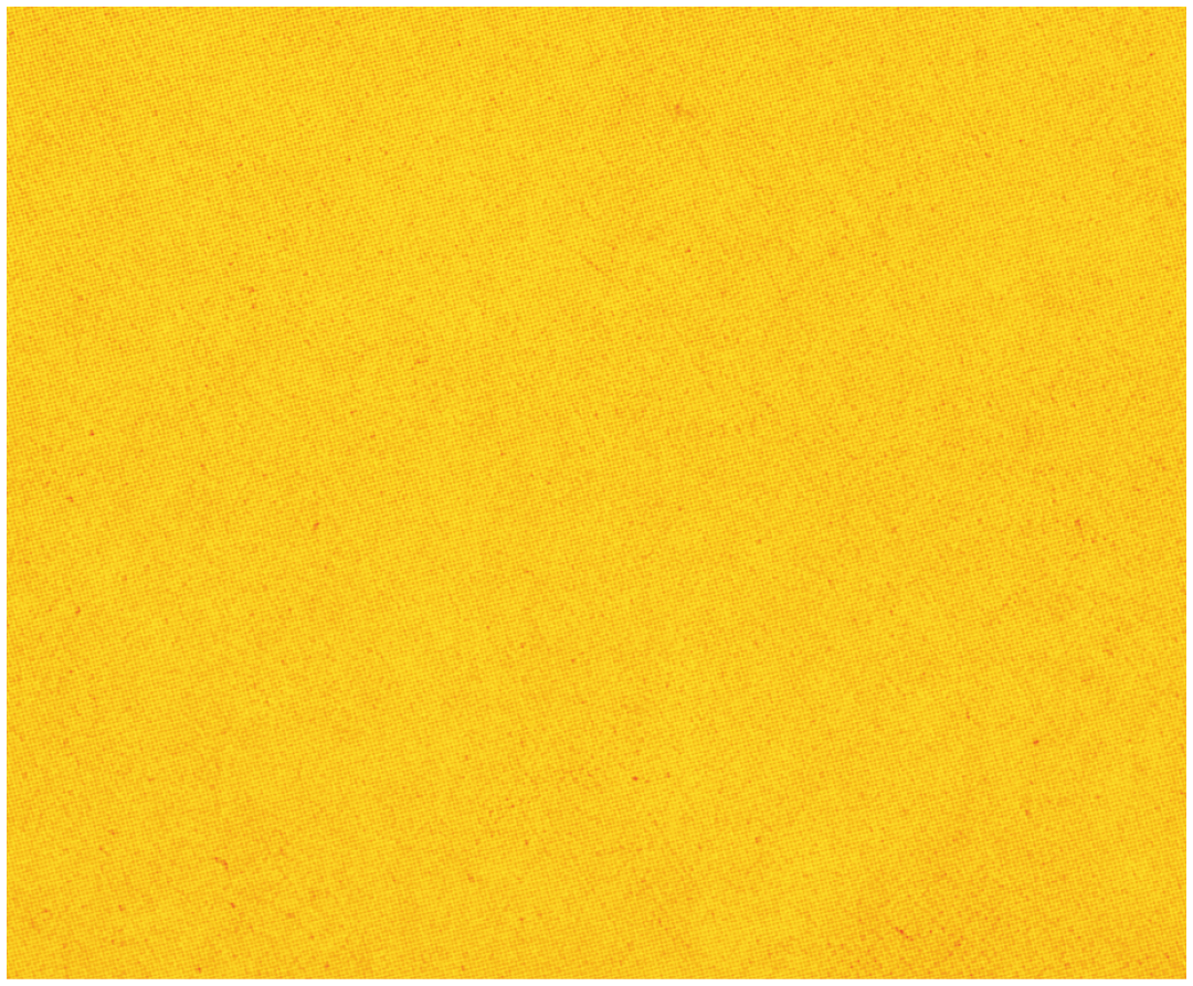 A red and blue striped cloth. Description generated by AI