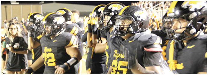 A group of people wearing black and yellow football uniforms and helmets are gathered on the sidelines of a sports field at night. Description generated by AI