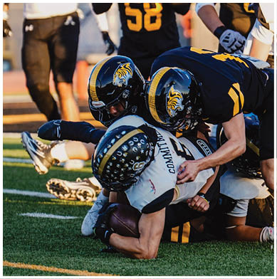 Several people in football uniforms are engaged in a tackle on a grassy field during a game. Description generated by AI