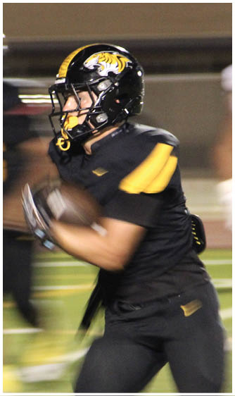 A person wearing a black and yellow football uniform with a tiger logo on the helmet is running with a football on a field. Description generated by AI