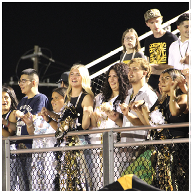 A group of people standing behind a chain-link fence at night, some wearing festive clothing and leis, appear to be cheering or clapping. Description generated by AI