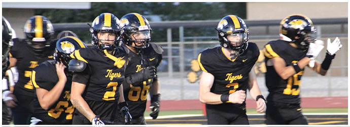 Several people wearing black and yellow football uniforms with the word “Tigers" are running on a sports field. Description generated by AI