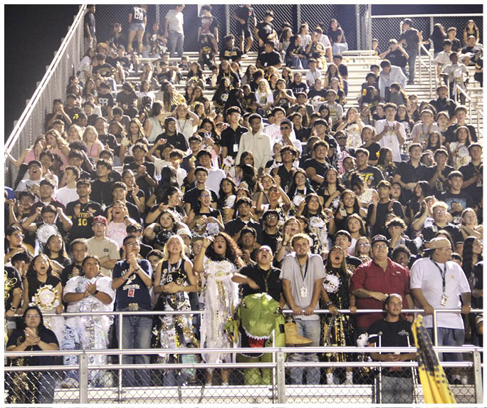 A large crowd of people wearing casual and festive clothing are enthusiastically cheering and standing in stadium bleachers at night. Description generated by AI