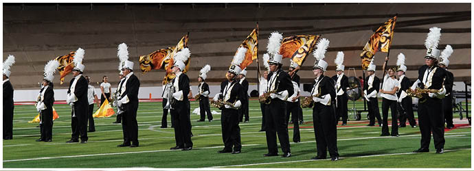 A marching band dressed in black and white uniforms with tall white plumes on their hats is performing on a football field with some members holding brass instruments and others waving orange and black flags. Description generated by AI