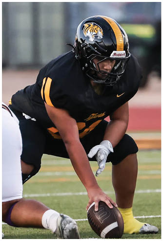 A person wearing a black and yellow football uniform is crouched on a field, holding a football with one hand and wearing a helmet and gloves. Description generated by AI