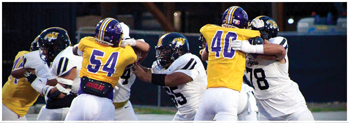 People wearing football uniforms are engaged in a play on a football field with some players blocking and others attempting to tackle. Description generated by AI