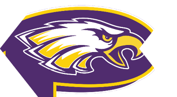 A stylized purple and gold letter P with a fierce eagle head integrated into the design. Description generated by AI