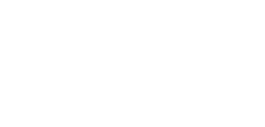 81