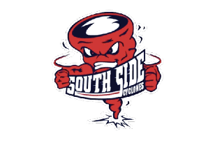 A blue and red logo of a lion. Description generated by AI