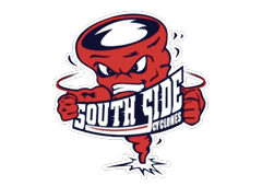 A blue and red logo of a lion. Description generated by AI