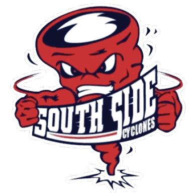 A blue and red logo of a lion. Description generated by AI